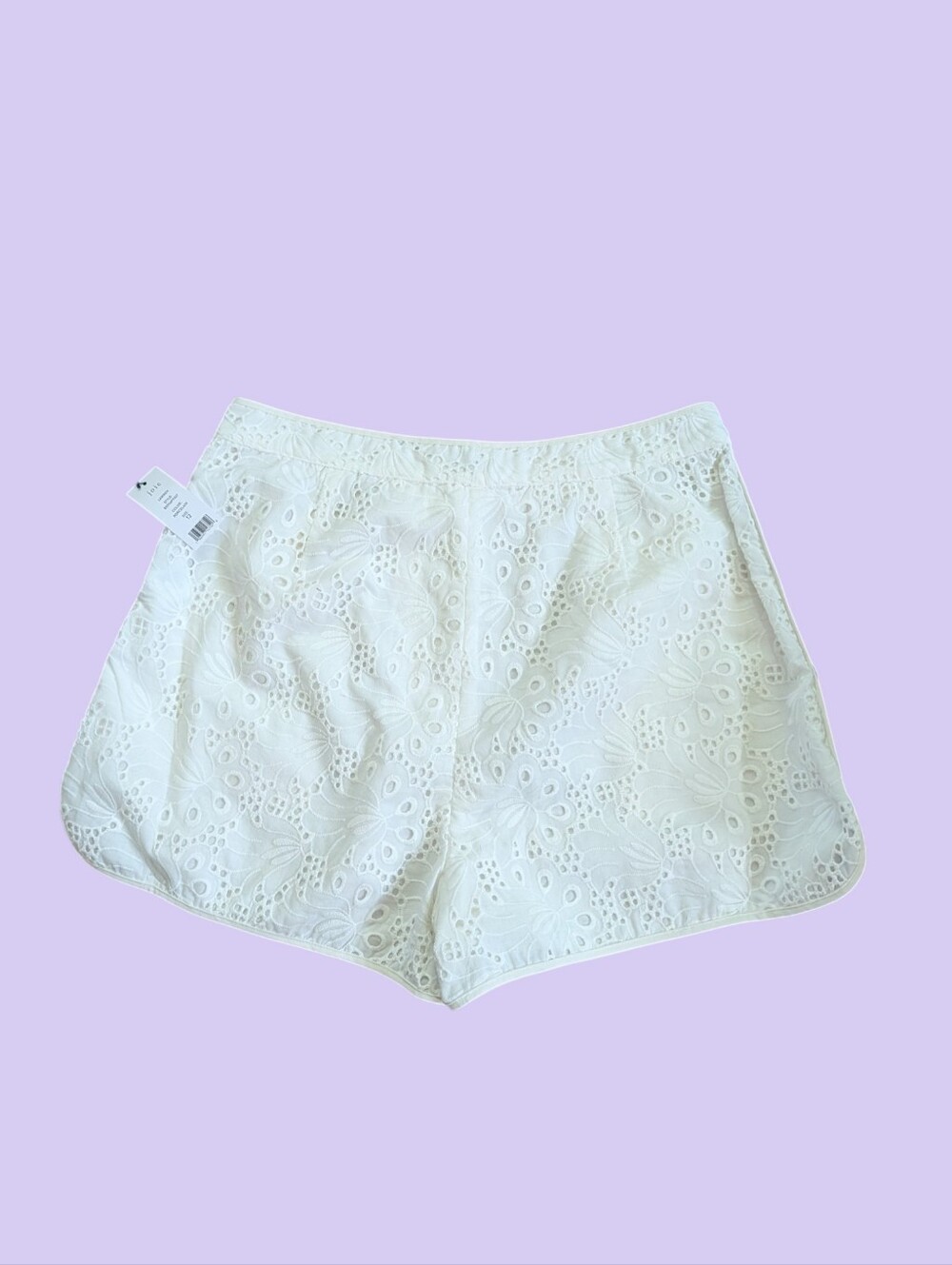 Joie Lawren Eyelet Shorts White Porcelain Floral Embroidered Cotton Size 12 NWT - Picture 3 of 10